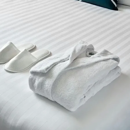 Four Points Flex By Sheraton Airport 4*